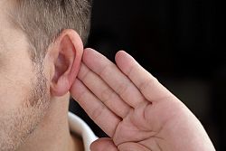 The Evolution of Human Hearing